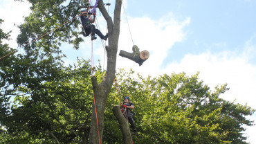 Aerial tree rigging course at Hi-Line Training