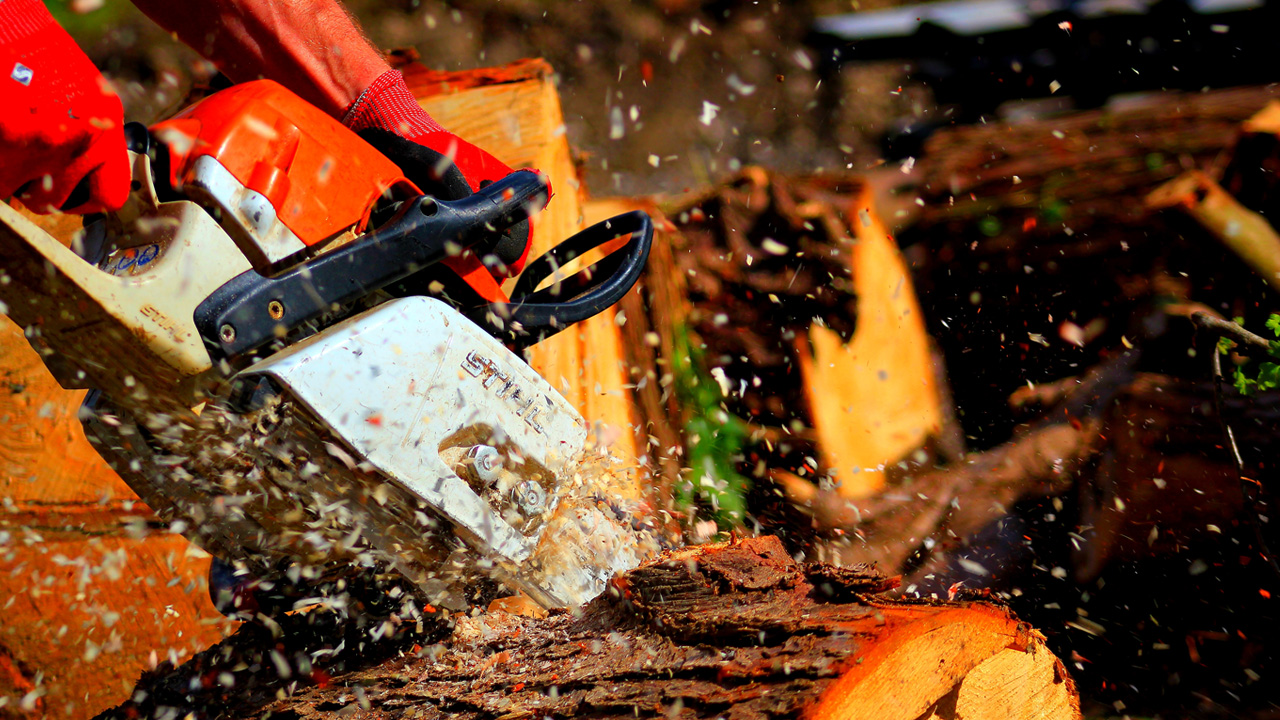 Level 2 Chainsaw maintenance and cross-cutting